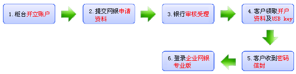 企業(yè)網(wǎng)銀專業(yè)版開戶流程